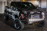 Ford F150 15+ Headlight Projector Package