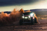 Rigid D-XL Pro LED Light: (Spot / Surface / Black Housing / Each)