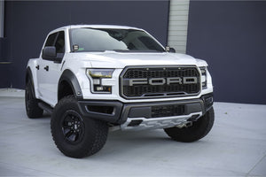 BD A-Pillar LED System: Ford F150 Raptor (15-19)  (Squadron Sport)