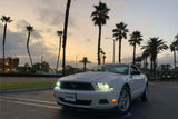 ARex Pro Halogen Heads:: Ford Mustang (10-14) - Matte Black / Chrome (Set)
