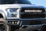 BD LED Fog Kit: Ford Raptor (17-20) (White / Sportsmen)